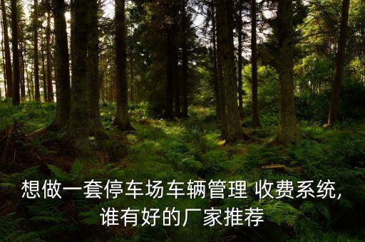 想做一套停车场车辆管理 收费系统,谁有好的厂家推荐