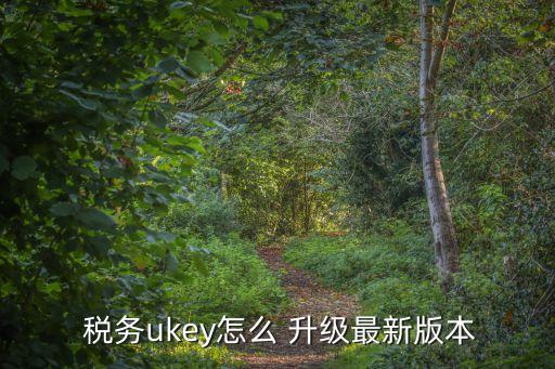 税务系统软件怎么升级,税务开票系统软件