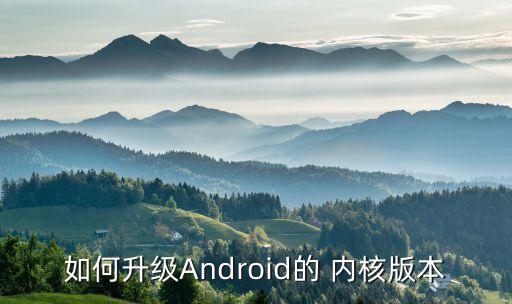 安卓系统软件内核服务,安卓变iphone系统软件中文