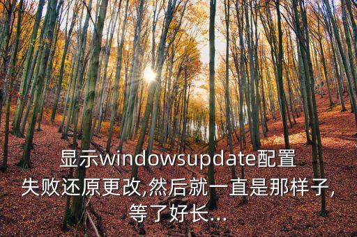 显示windowsupdate配置失败还原更改,然后就一直是那样子,等了好长...