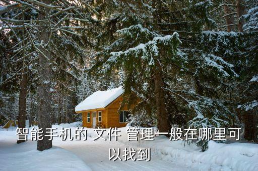 文件管理系统软件在哪里,三星手机文件管理在哪里呢?请看这里!