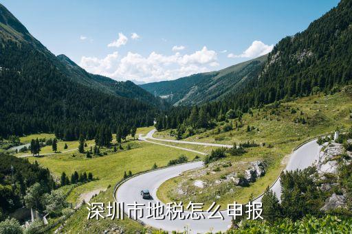 深圳市地税怎么申报
