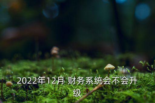 2022年12月 财务系统会不会升级
