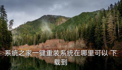 系统之家一键重装系统在哪里可以 下载到