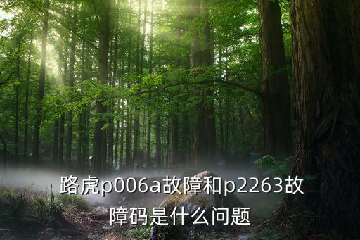  路虎p006a故障和p2263故障码是什么问题