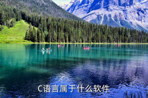 C语言属于什么软件
