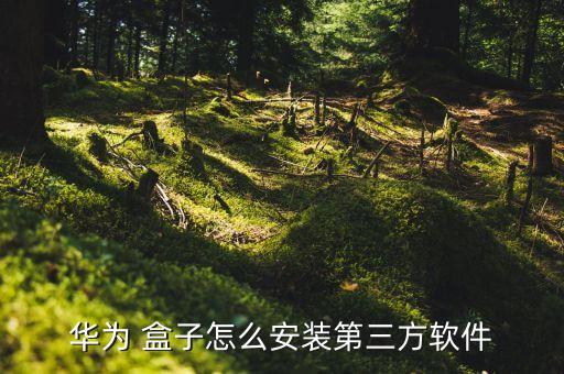 华为 盒子怎么安装第三方软件