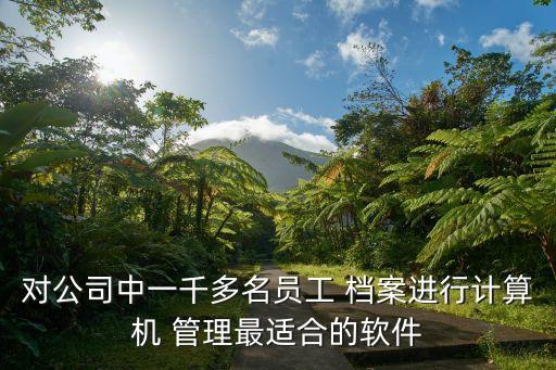 对公司中一千多名员工 档案进行计算机 管理最适合的软件