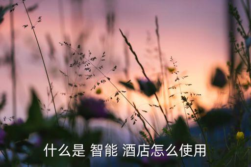 什么是 智能 酒店怎么使用
