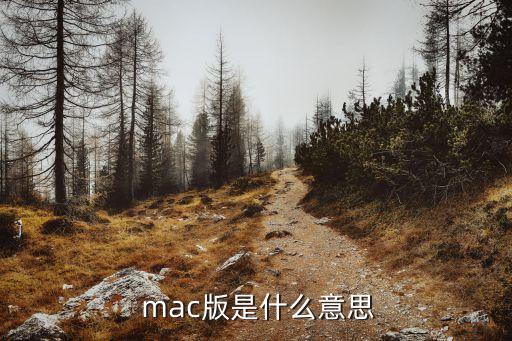  mac版是什么意思