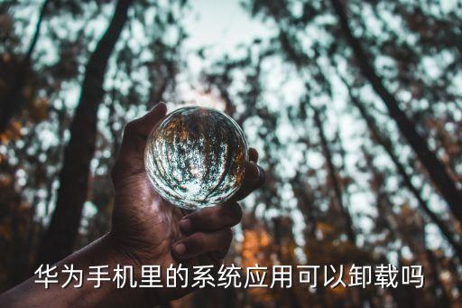 华为手机里的系统应用可以卸载吗