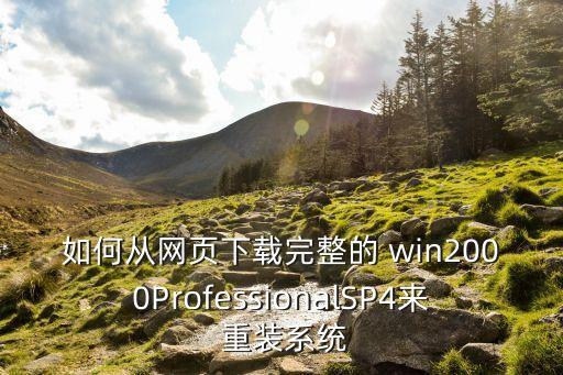 如何从网页下载完整的 win2000ProfessionalSP4来 重装系统
