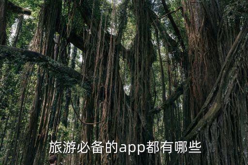 旅游平台系统软件,电脑阅卷系统软件平台