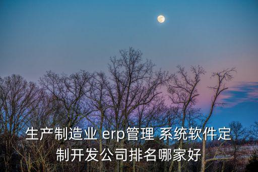 生产制造业 erp管理 系统软件定制开发公司排名哪家好