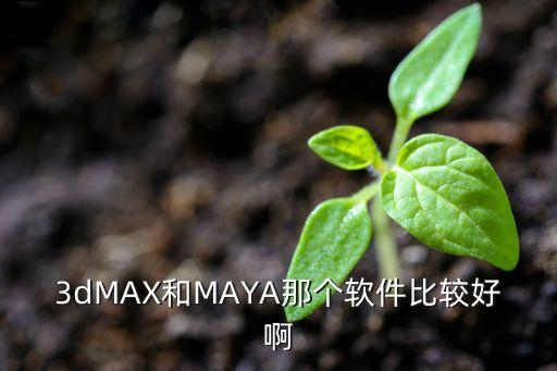 max的系统软件,华为变iphone系统软件