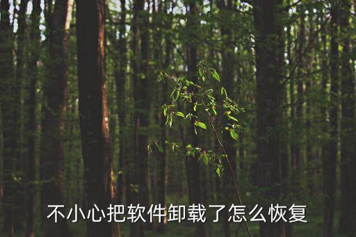 不小心把软件卸载了怎么恢复
