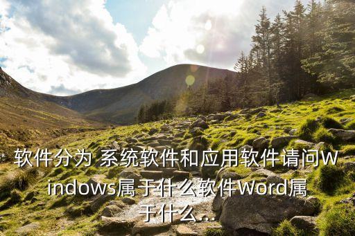 软件分为 系统软件和应用软件请问Windows属于什么软件Word属于什么...