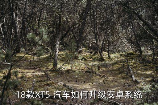 汽车换系统软件,换汽车轴承大概需要多少钱
