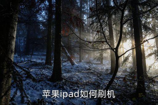 苹果ipad如何刷机