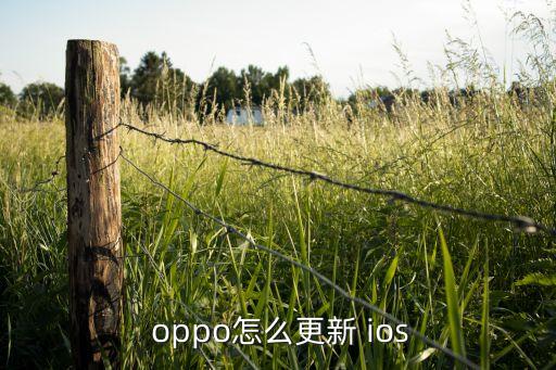 oppo变ios系统软件