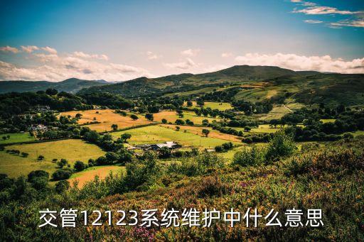交通管理系统软件是
