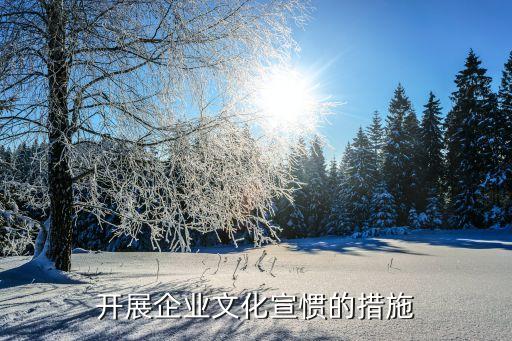 开展企业文化宣惯的措施