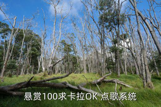 悬赏100求卡拉OK 点歌系统