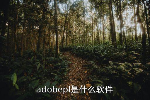 adobepl是什么软件