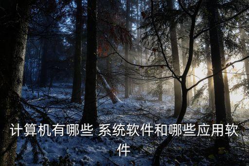 计算机有哪些 系统软件和哪些应用软件