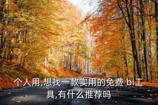 个人用,想找一款实用的免费 bi工具,有什么推荐吗