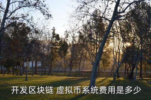  开发区块链 虚拟币系统费用是多少