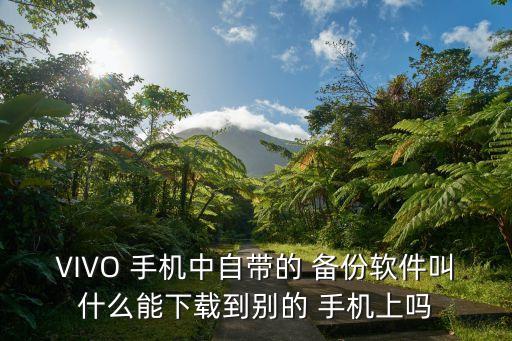 VIVO 手机中自带的 备份软件叫什么能下载到别的 手机上吗