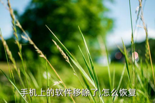 手机丢失系统软件怎么办,手机系统软件丢失怎么找回?