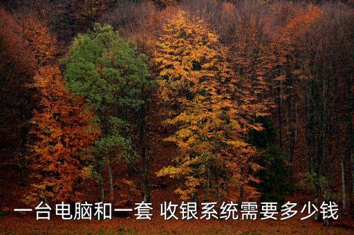 一台电脑和一套 收银系统需要多少钱