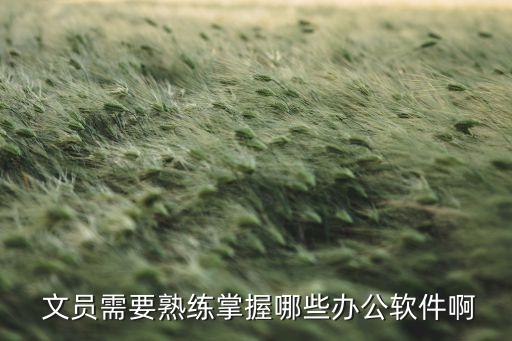 文员需要熟练掌握哪些办公软件啊