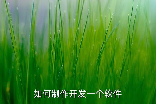 如何制作开发一个软件