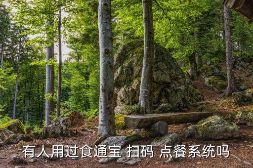 有人用过食通宝 扫码 点餐系统吗