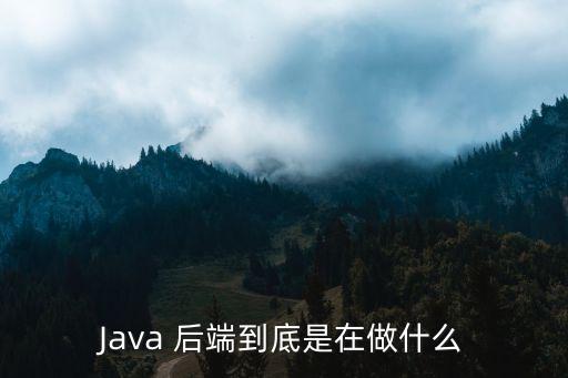 Java 后端到底是在做什么