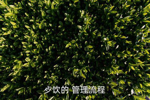 歺饮的 管理流程