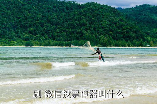 微信会员投票系统软件免费