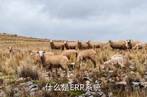 erp系统软件新增联系人,Erp系统软件