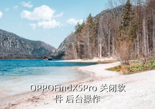 OPPOFindX5Pro 关闭软件 后台操作