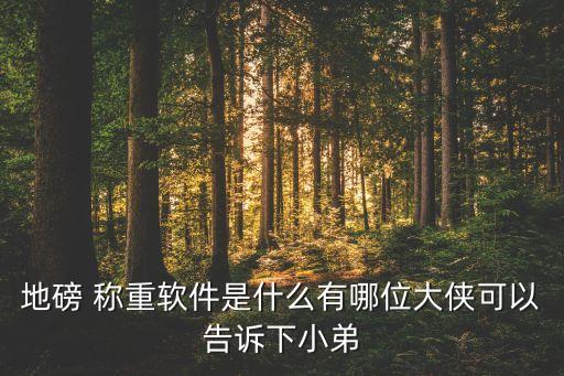地磅 称重软件是什么有哪位大侠可以告诉下小弟