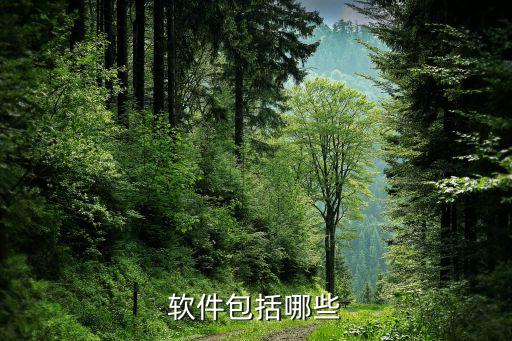 软件包括哪些
