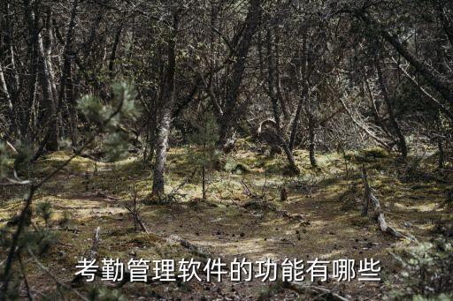  考勤管理软件的功能有哪些