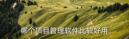 哪个项目管理软件比较好用