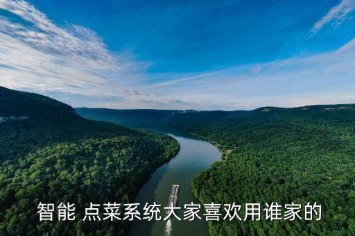  智能 点菜系统大家喜欢用谁家的