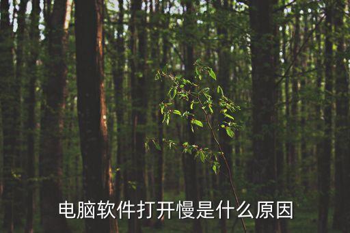 电脑软件打开慢是什么原因