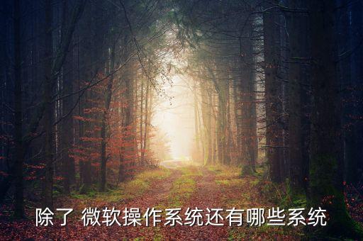 除了 微软操作系统还有哪些系统