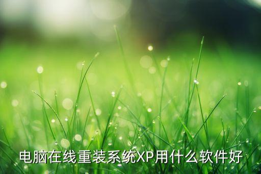 电脑在线重装系统XP用什么软件好